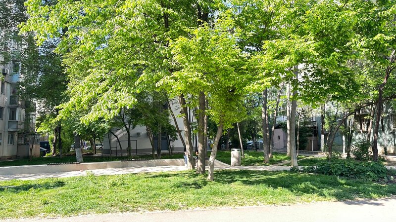 Drumul Taberei- Romancierilor